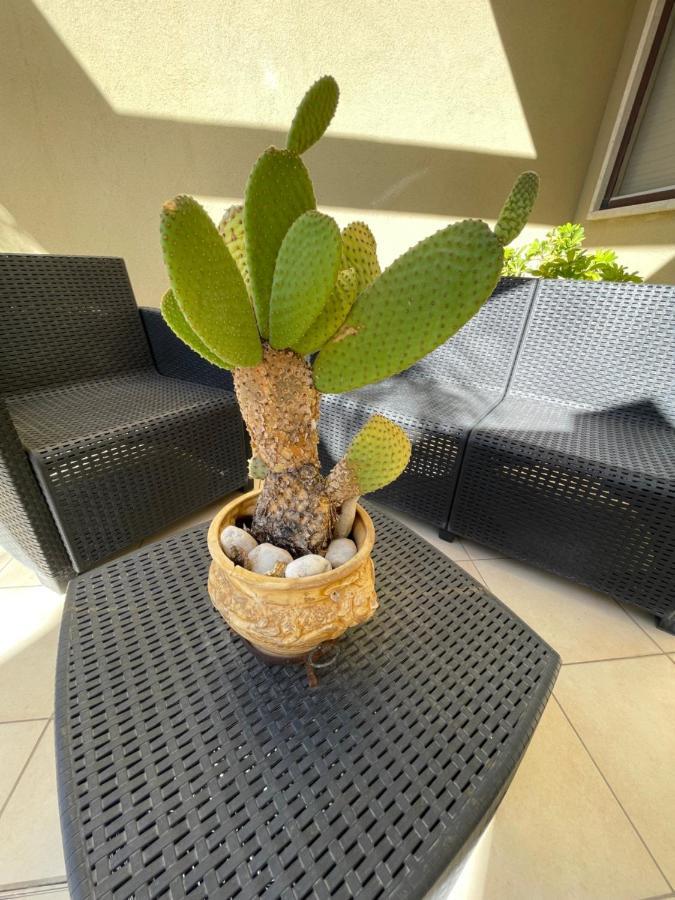 Ancora Del Salento Villa Lecce Ngoại thất bức ảnh