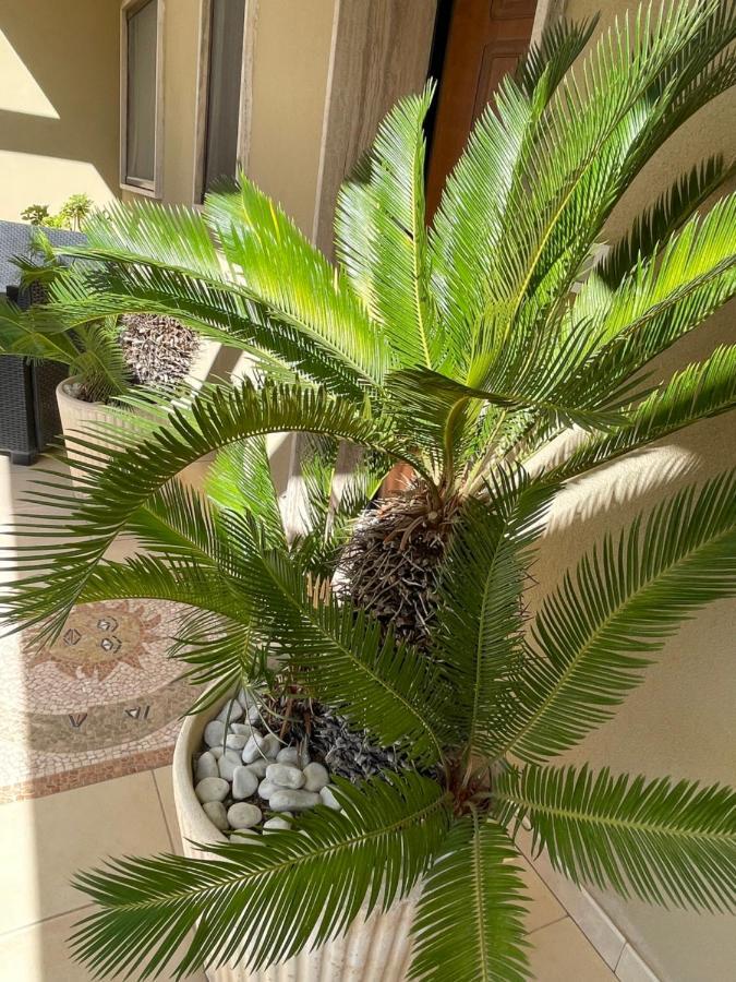Ancora Del Salento Villa Lecce Ngoại thất bức ảnh